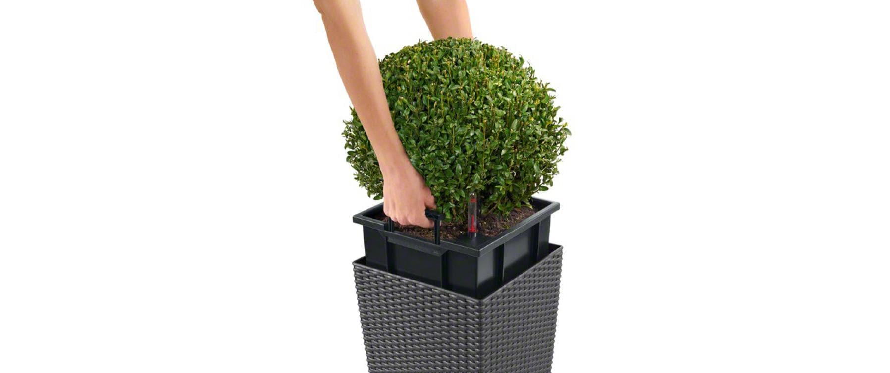 LECHUZA Topfpflanzer – 30 × 30 × 30 cm – Kunststoff, Granit
