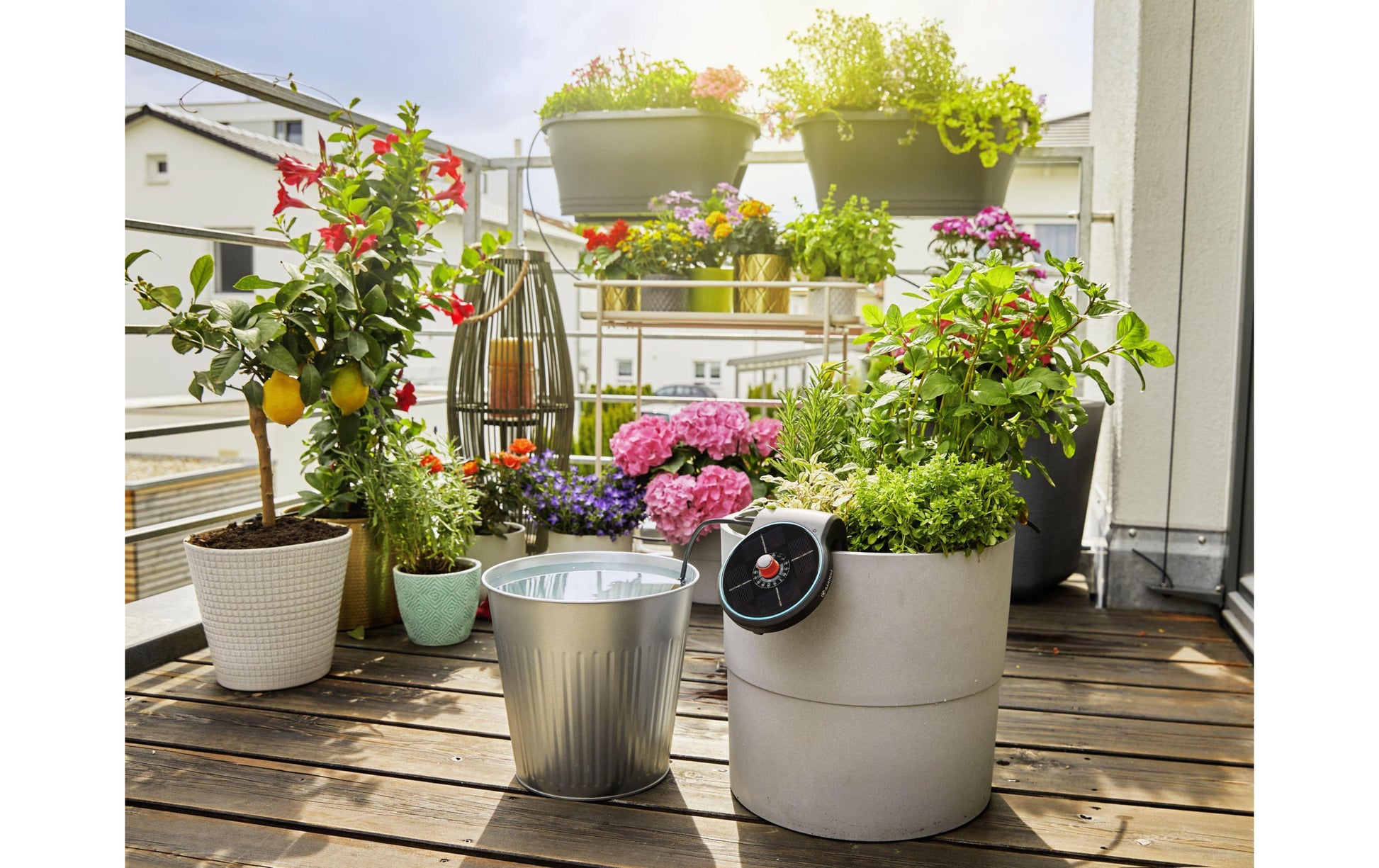 Gardena aquaBloom Solar-Bewässerungs-Set – 28 Tropfer, 15 Schlaucheinsätze, Druckregler, Solar-/Akkubetrieb