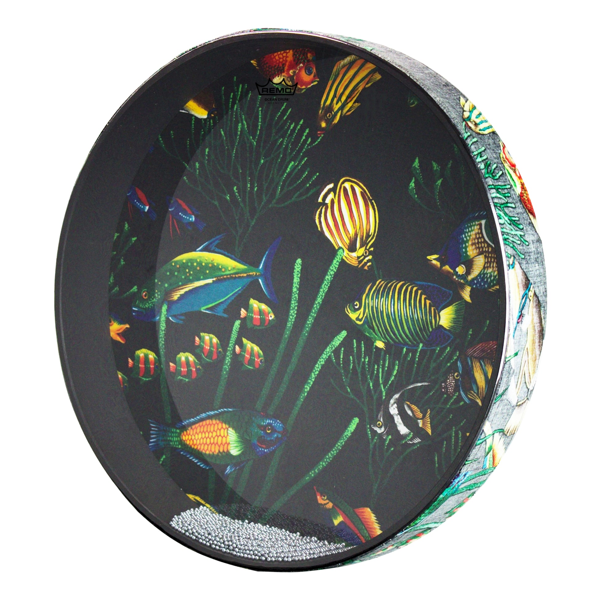 Remo Ocean Drum