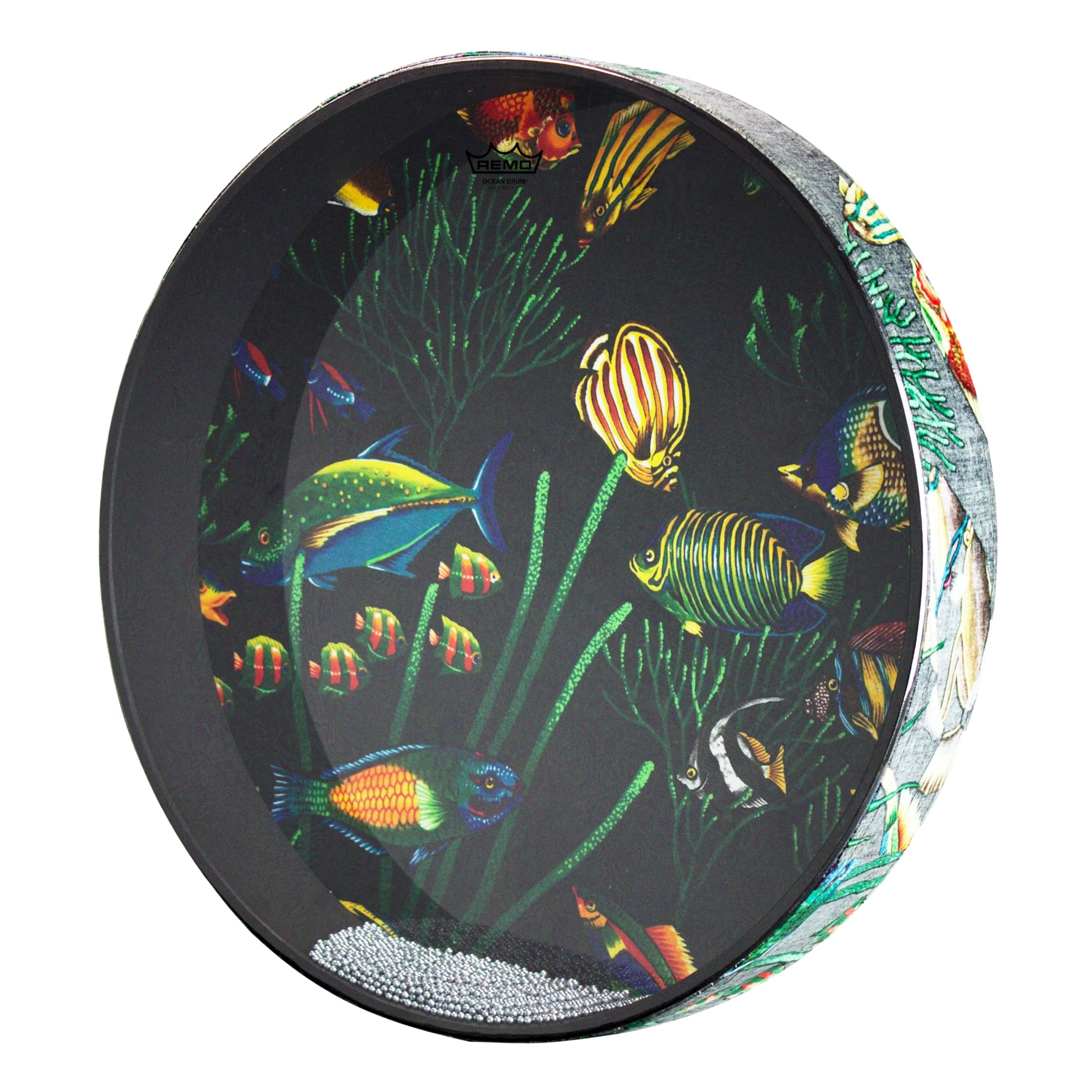 Remo Ocean Drum