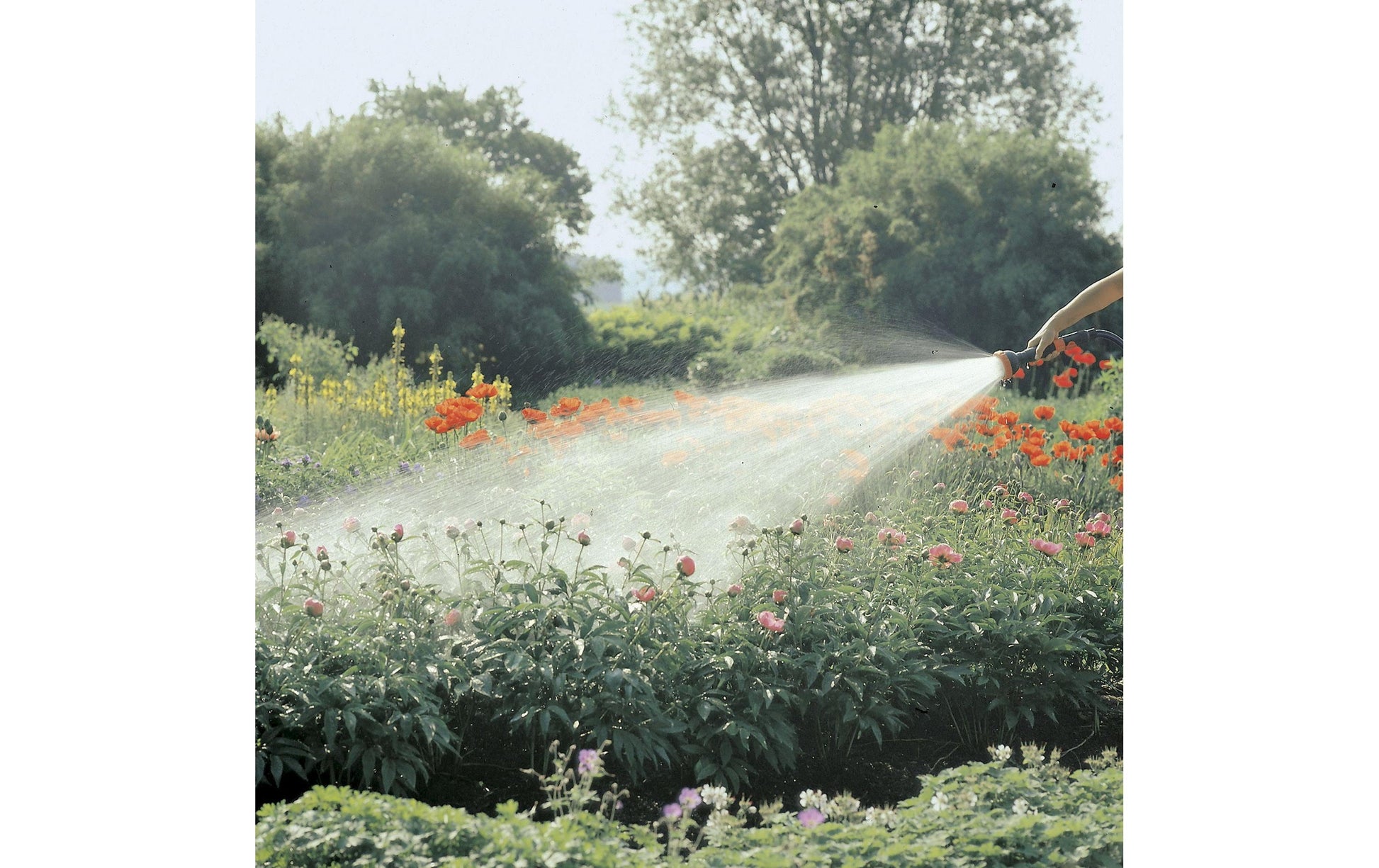 Gardena SB-Profi-System-Spritz-Brause – Grau, Orange, 3 Sprühmuster, stufenlos dosierbar