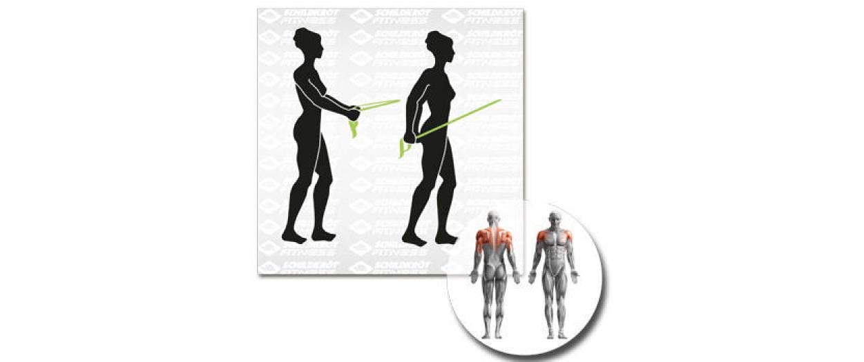 Schildkröt Fitness Fitnessbänder – Leicht, Mittel – 200 × 15 cm – Grün, Grau – 2 Stk.