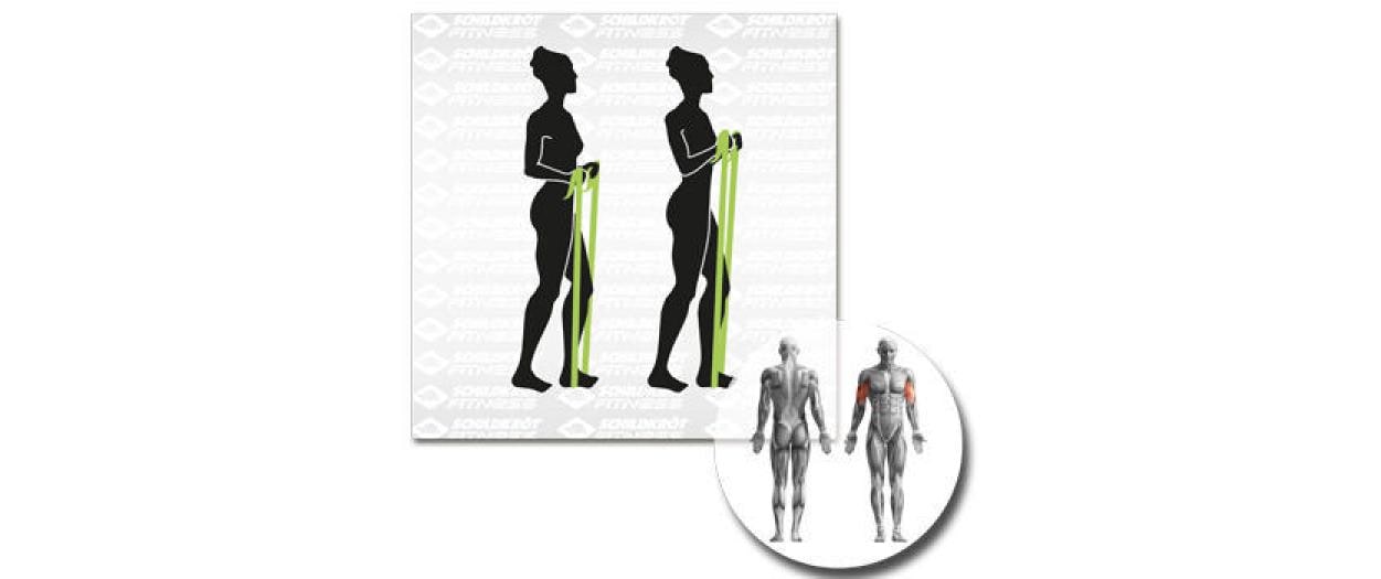 Schildkröt Fitness Fitnessbänder – Leicht, Mittel – 200 × 15 cm – Grün, Grau – 2 Stk.