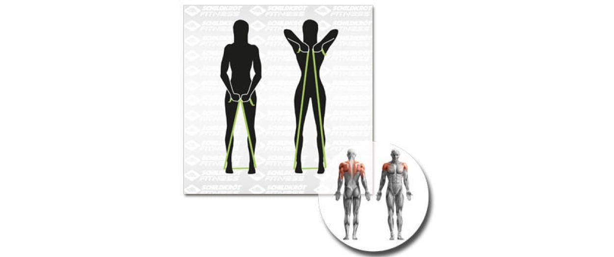 Schildkröt Fitness Fitnessbänder – Leicht, Mittel – 200 × 15 cm – Grün, Grau – 2 Stk.