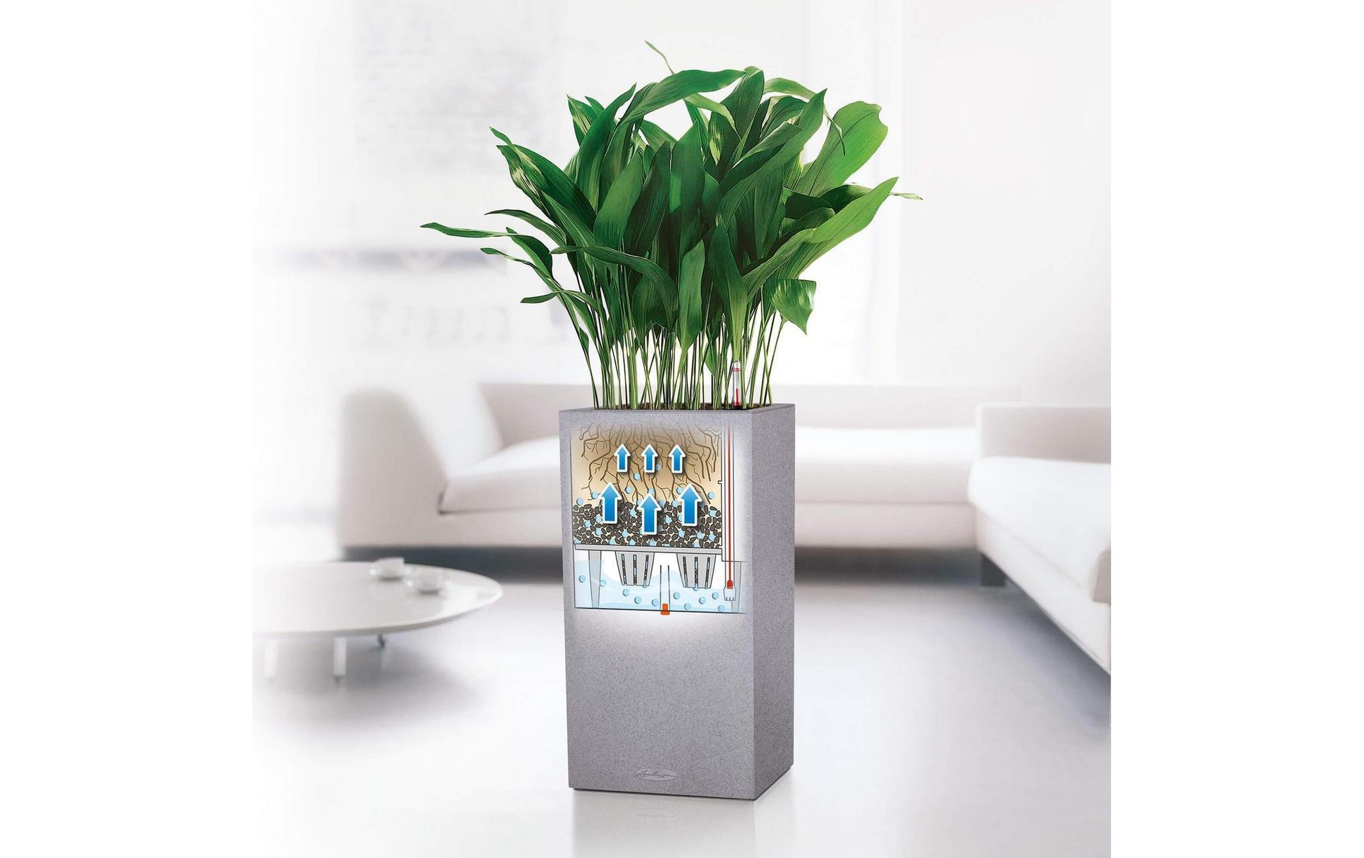 LECHUZA Canto Color High 40 Pflanzgefäss – 40 × 76 × 40 cm – Polypropylen, Grau