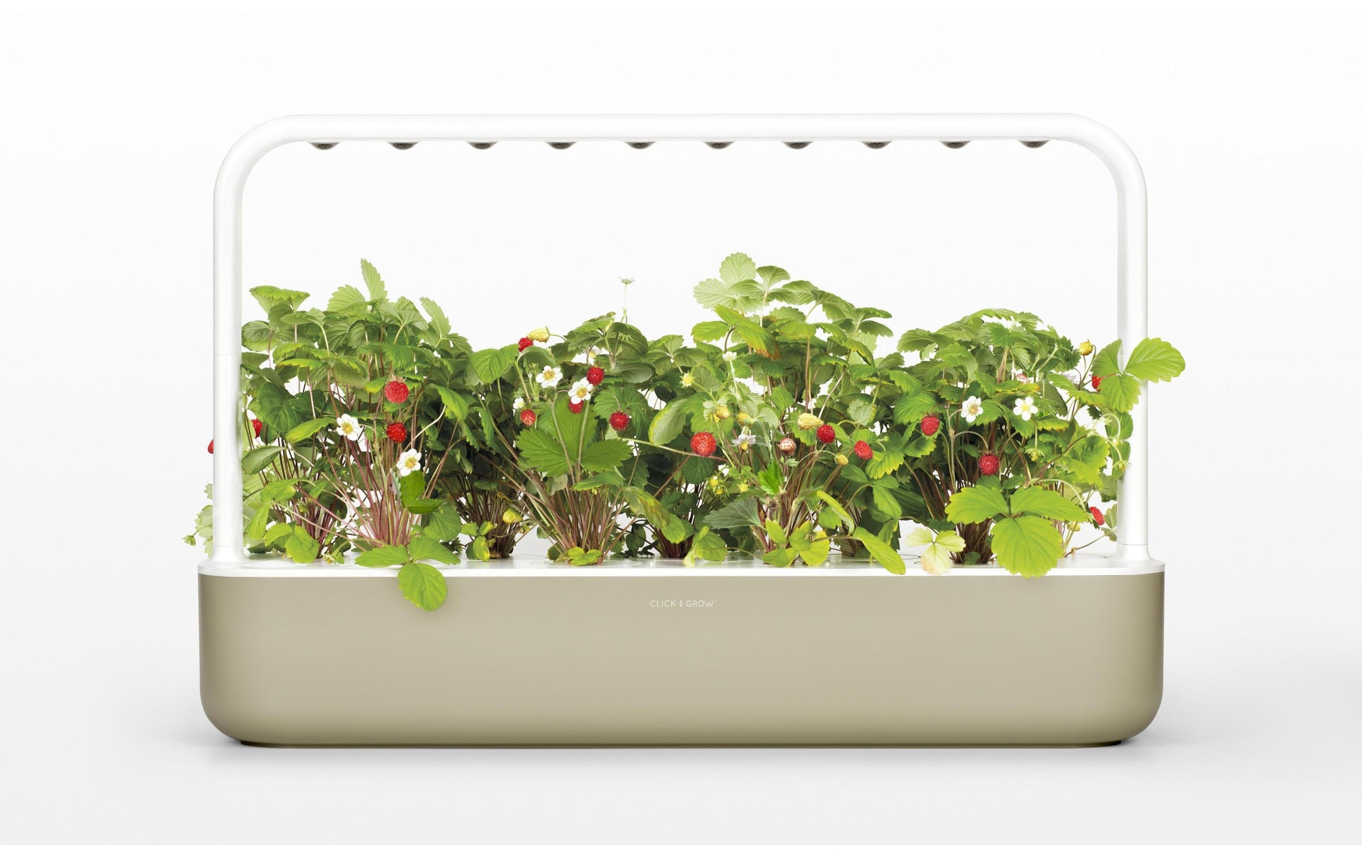 Click & Grow Smart Garden 9 – 9 Ablagen, integrierte LED-Beleuchtung – Kunststoff, Beige