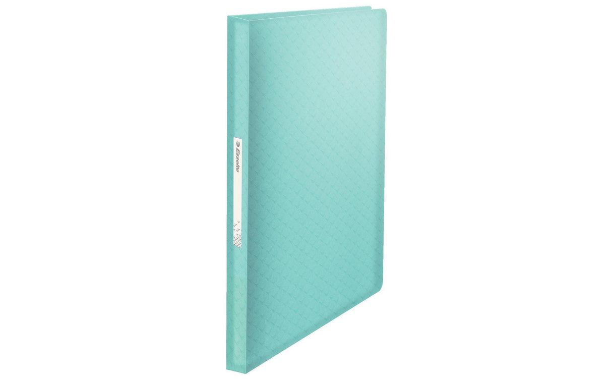 Esselte Colour'ICE Sichtbuch, für A4, 80 Blatt, selbstklebendes Rückenschild – Polypropylen (PP) – Blau