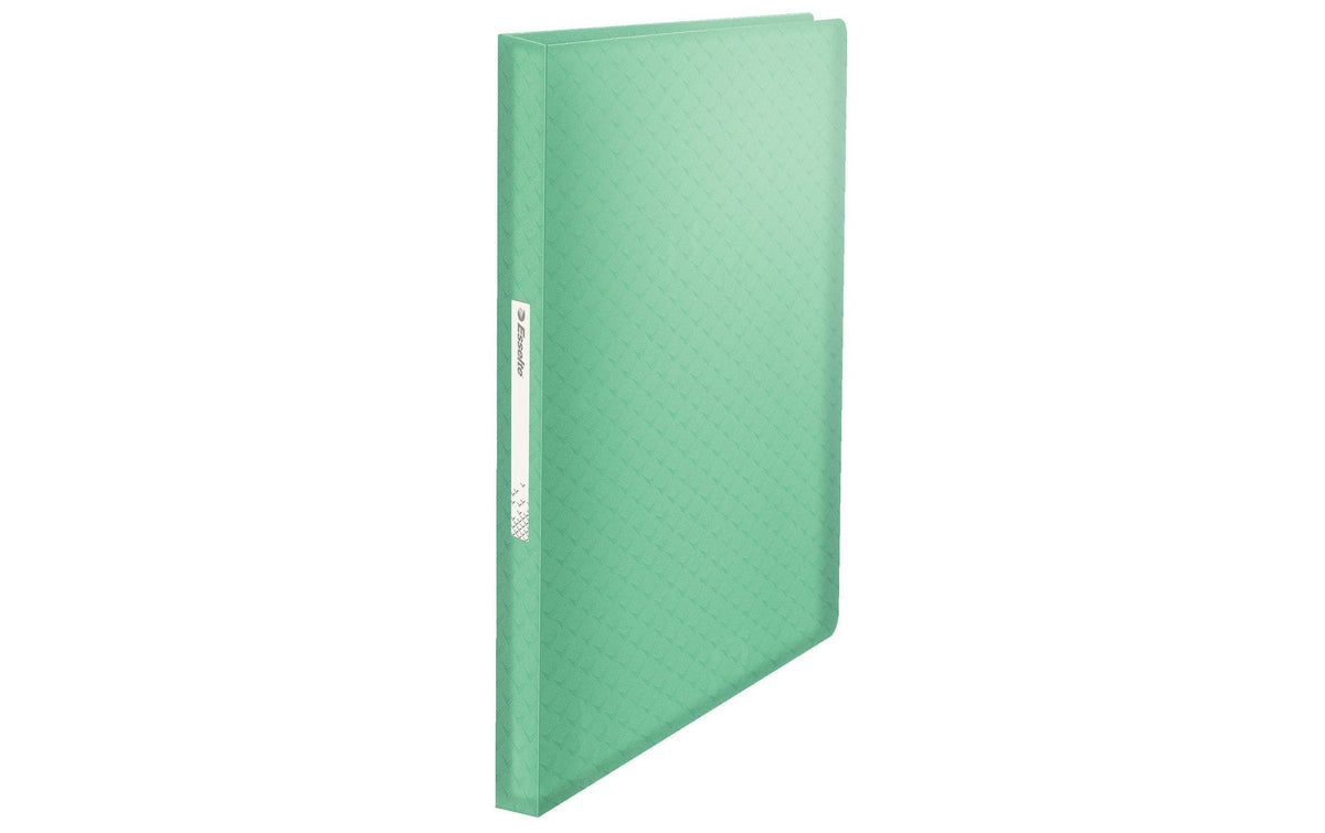 Esselte Colour'ICE Sichtbuch, für A4, 80 Blatt – Polypropylen (PP) – Grün
