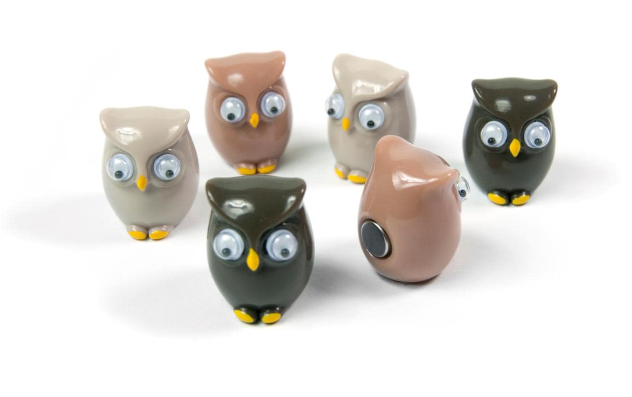 Trendform OWL FW3542 Magnete – 20 × 16 × 16 mm – 6 Stück, Kunststoff, mehrfarbig, für Magnetwände