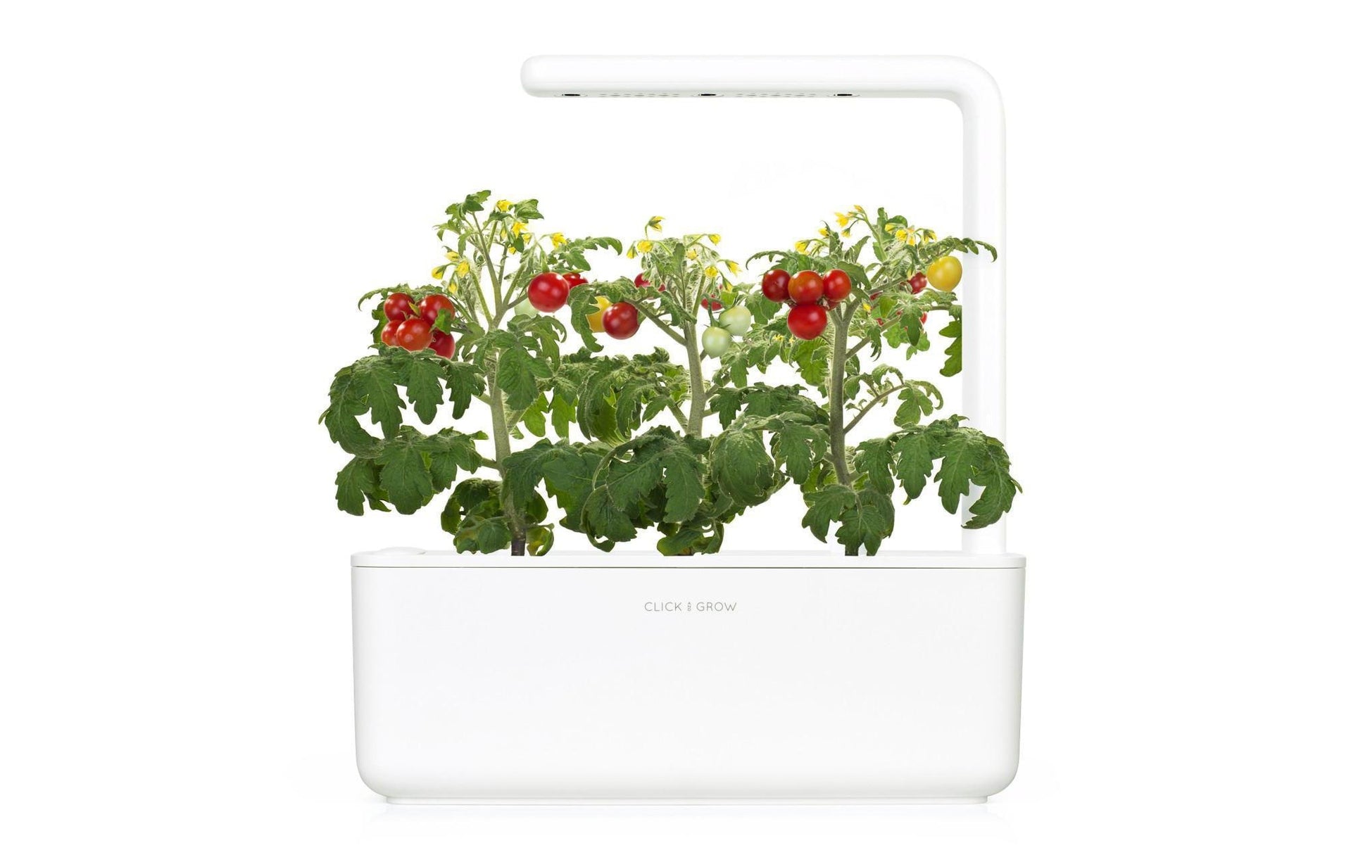 Click & Grow Smart Garden 3 – 1,2 l Wassertank, integrierte LED-Beleuchtung & automatische Bewässerung – Weiss