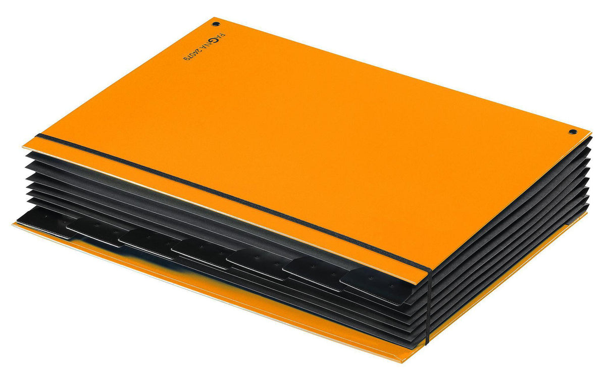 Pagna Fächermappe A4 – 7 Fächer, Gummiband, Karton, Polypropylen (PP), orange, Schaulöcher