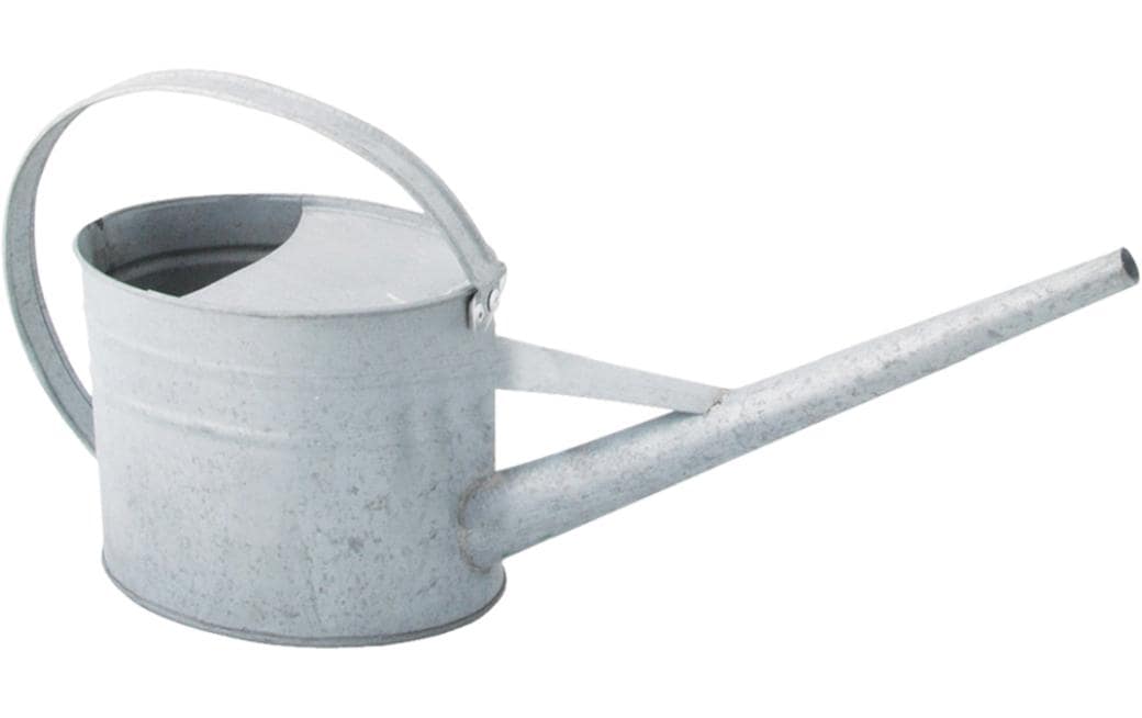 Esschert Design Giesskanne W2023 – 1,6 l – Zink – 42,4 × 11,5 × 19,9 cm
