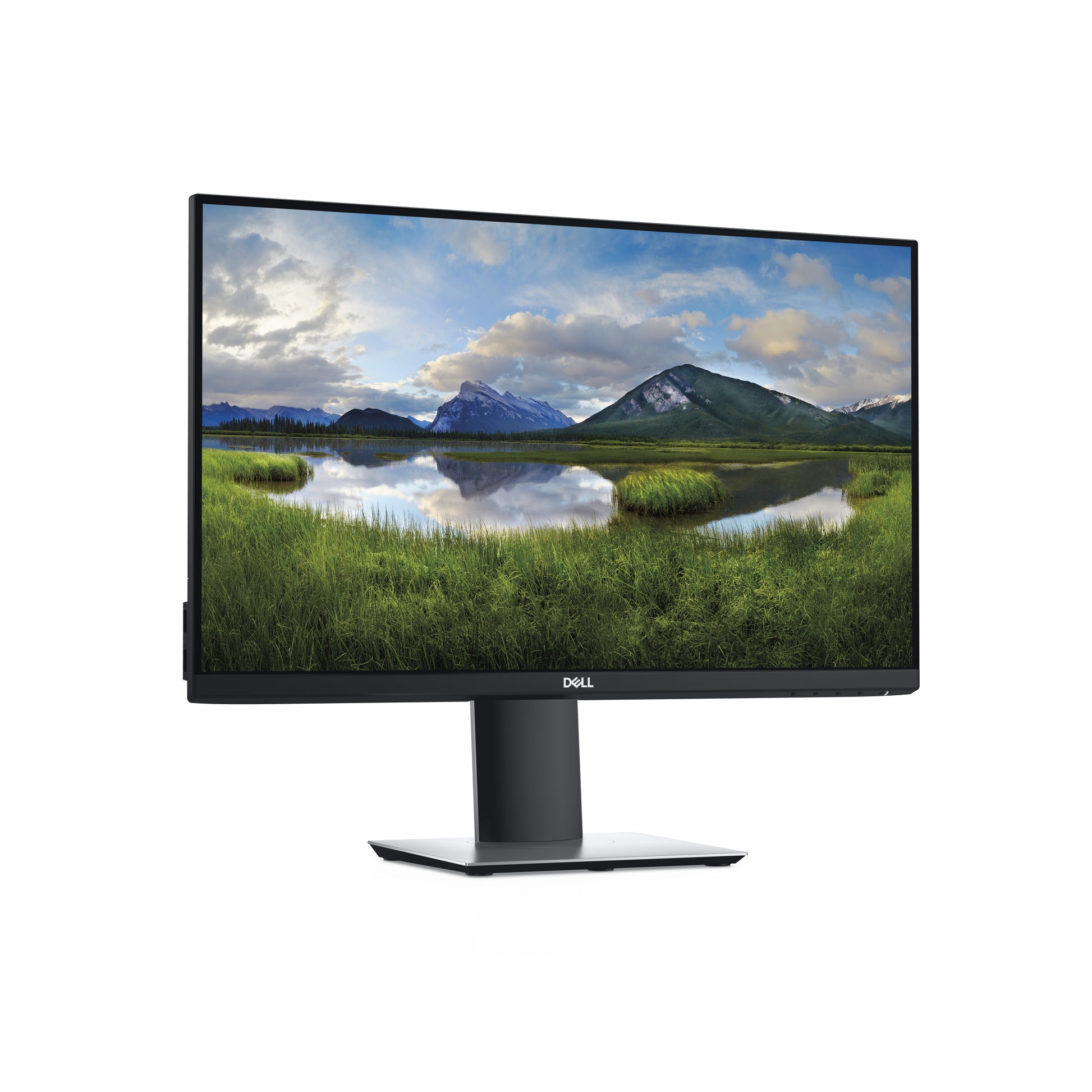 DELL Monitor, 24", 1920 × 1080 (Full HD)