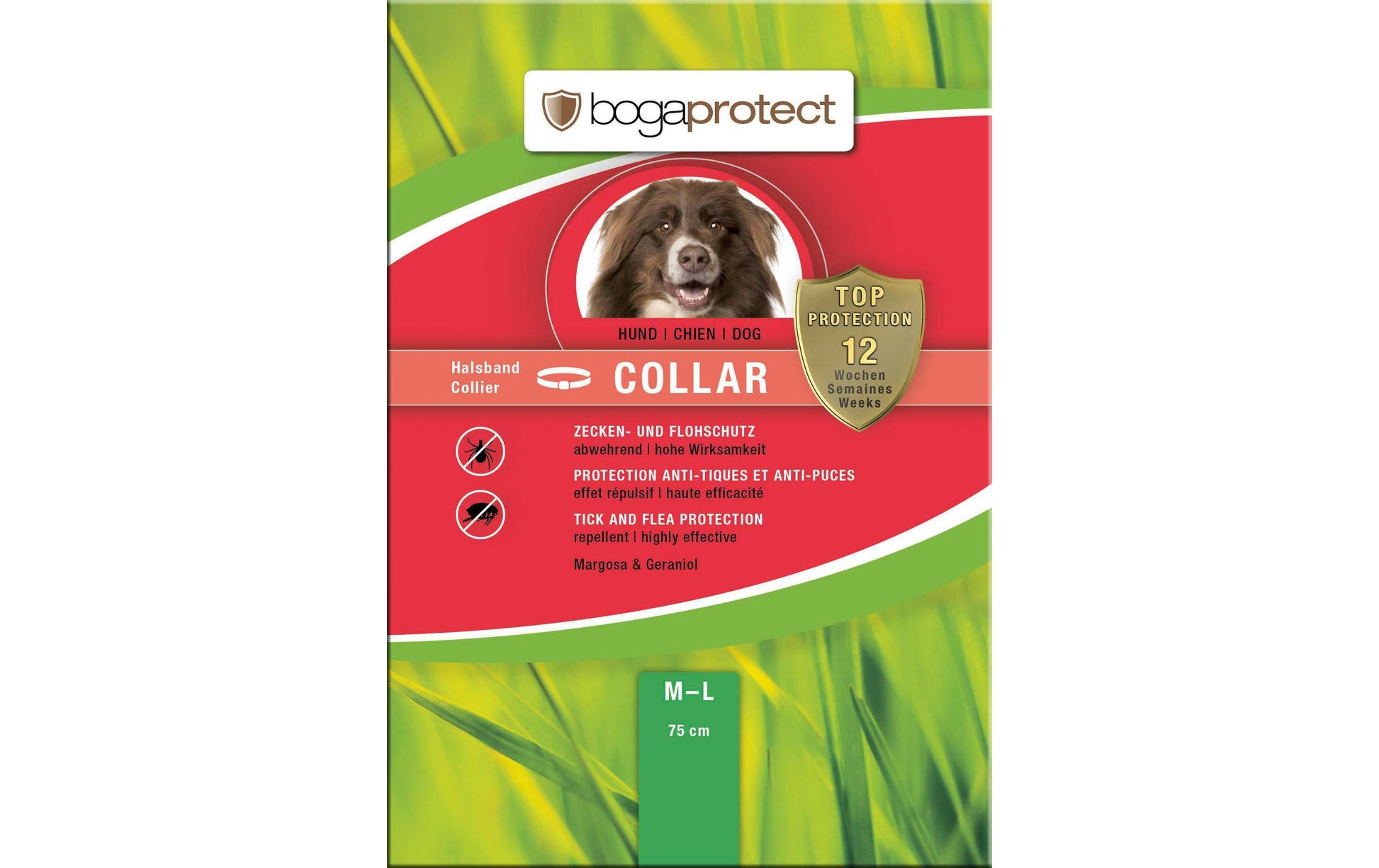 Bogar Floh- & Zeckenkragen bogaprotect – für Halsumfang 50–65 cm – bis zu 12 Wochen Schutz