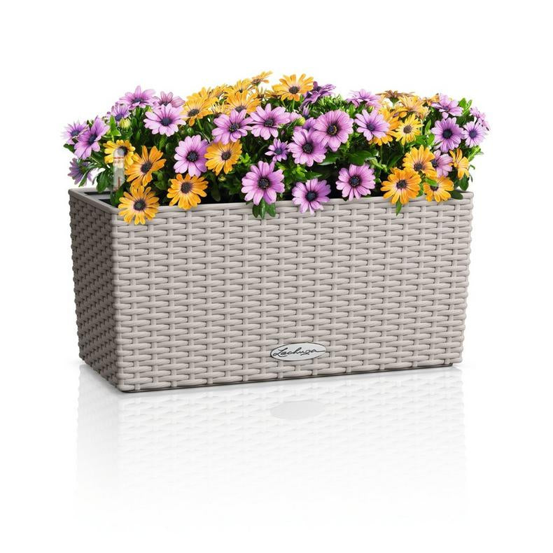 LECHUZA Pflanzgefäss – 40 × 19 × 19 cm, 6 l – Kunststoff, sandbraun