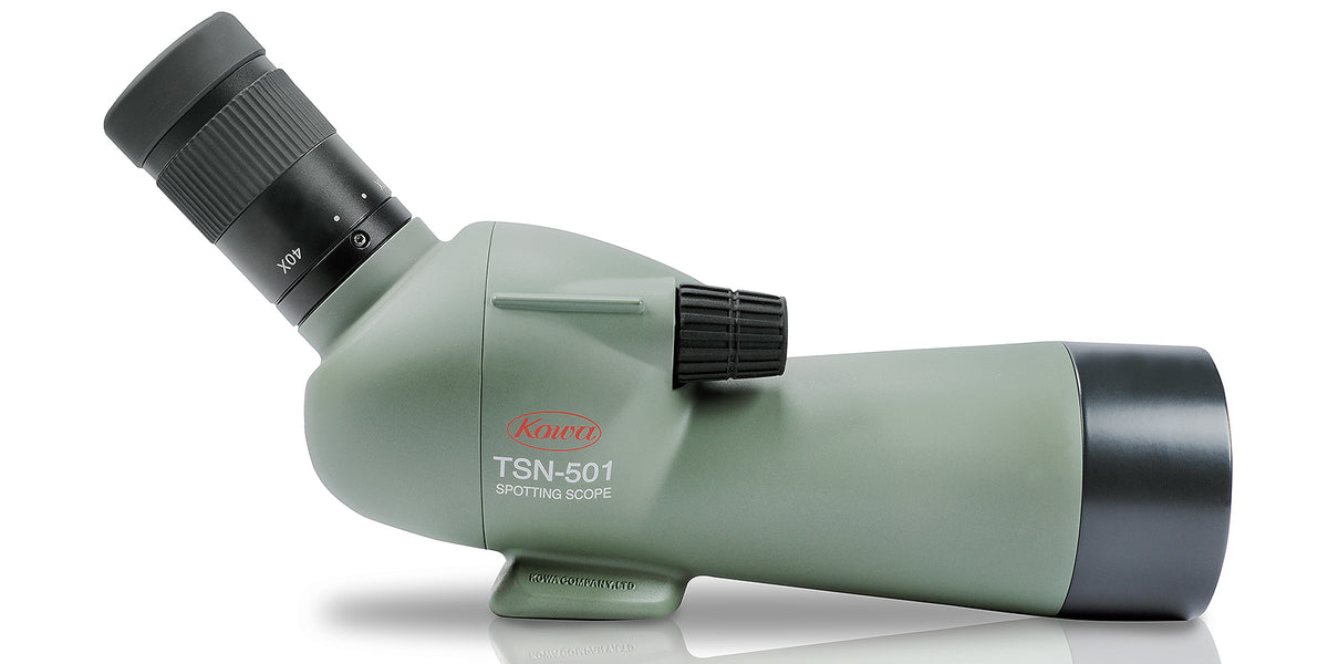 Kowa TSN-501 – Bridgekamera, 40× optischer Zoom, Grün