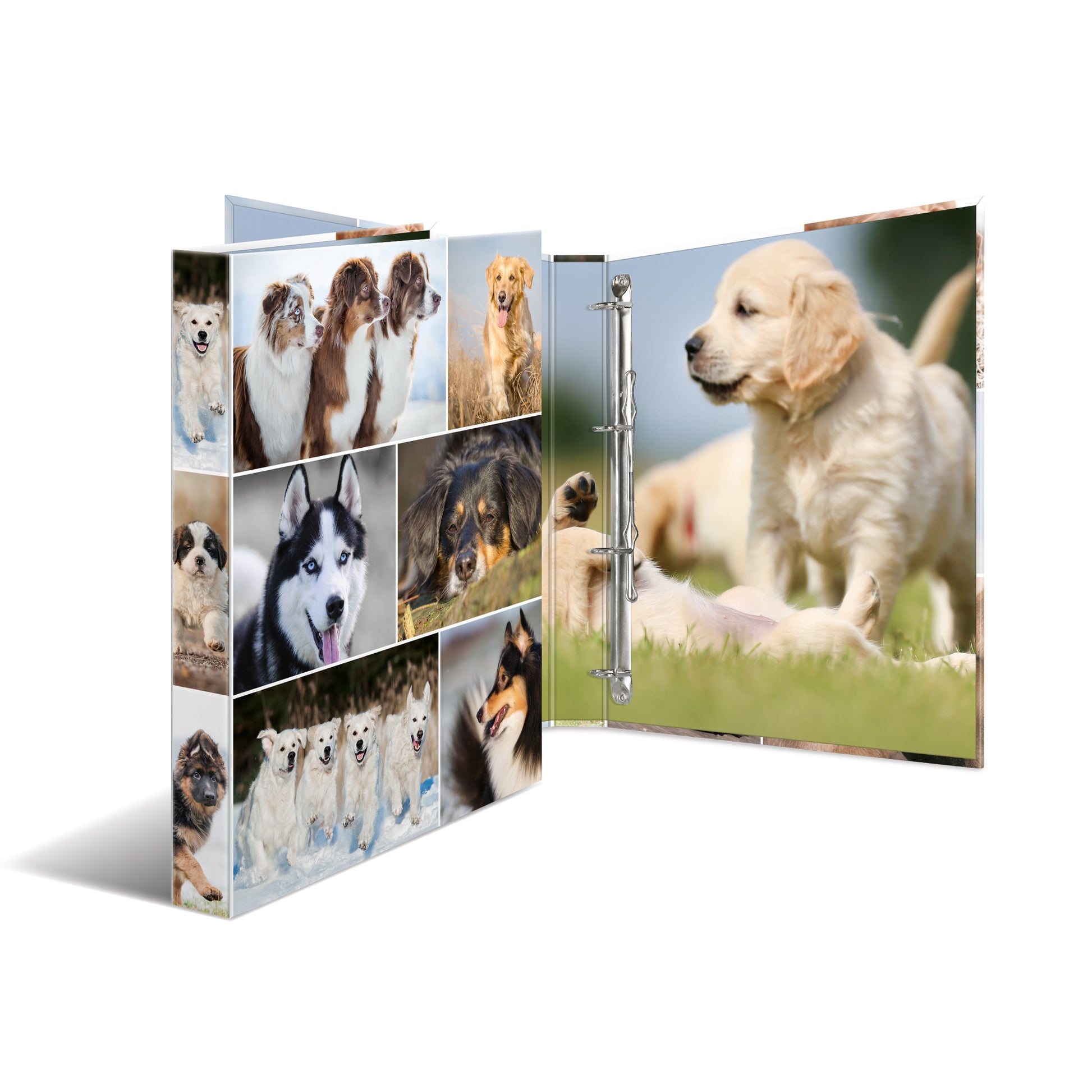 HERMA Zeigebuch Animals – A4 Hochformat – 4-Ring Bügelmechanik, 35 mm Rücken – Mehrfarbig, mit Niederhalter