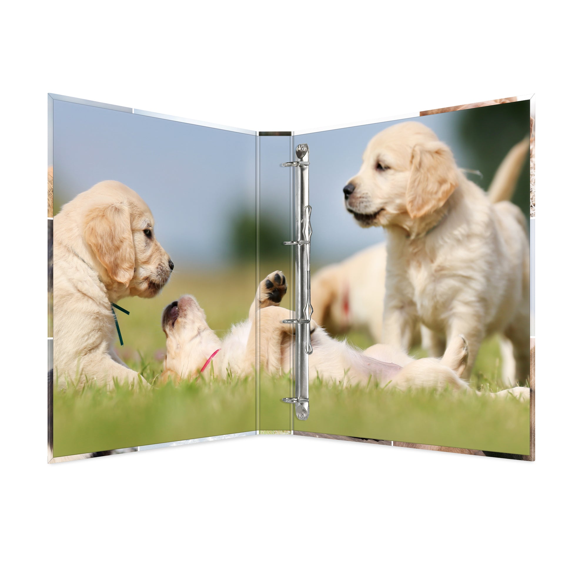 HERMA Zeigebuch Animals – A4 Hochformat – 4-Ring Bügelmechanik, 35 mm Rücken – Mehrfarbig, mit Niederhalter