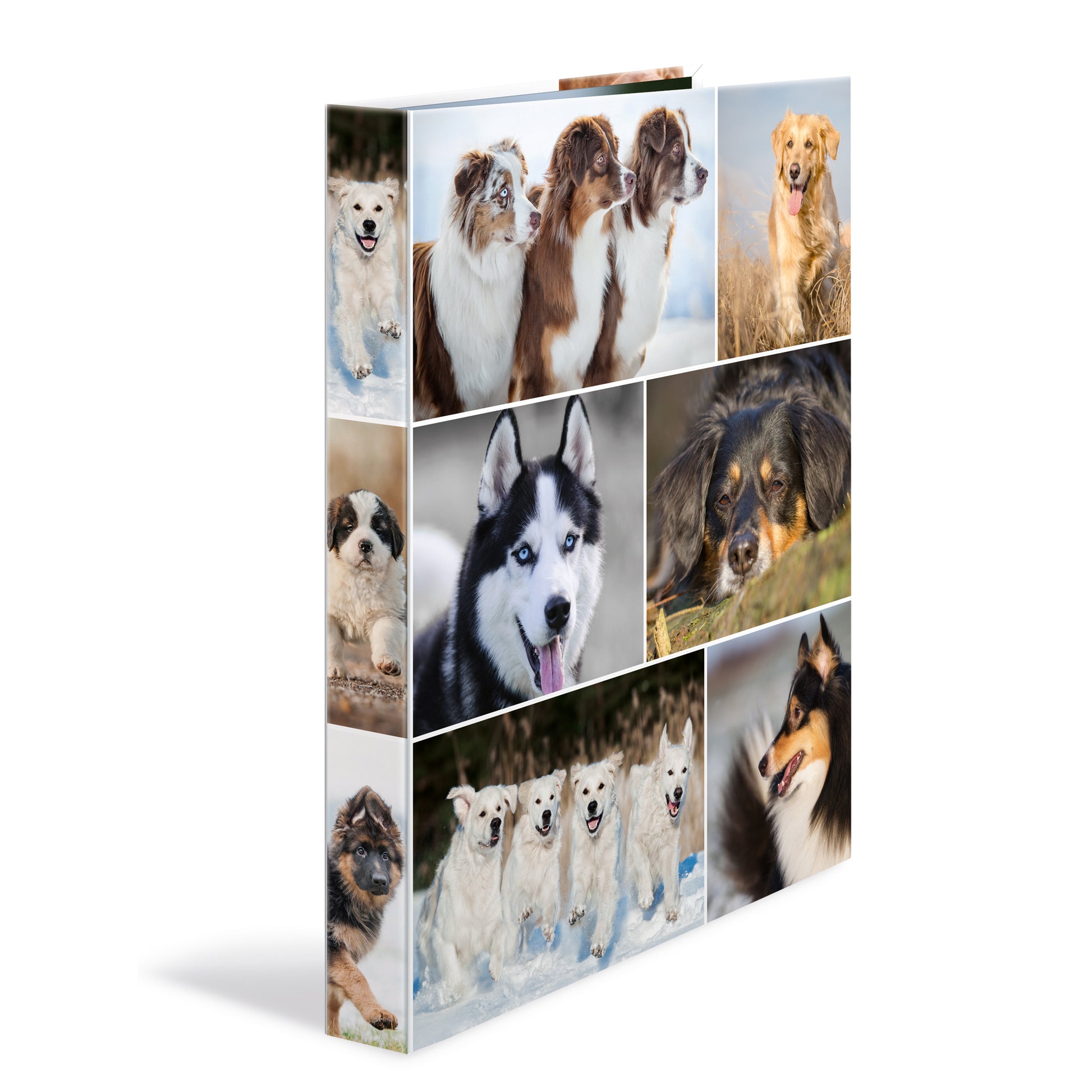 HERMA Zeigebuch Animals – A4 Hochformat – 4-Ring Bügelmechanik, 35 mm Rücken – Mehrfarbig, mit Niederhalter