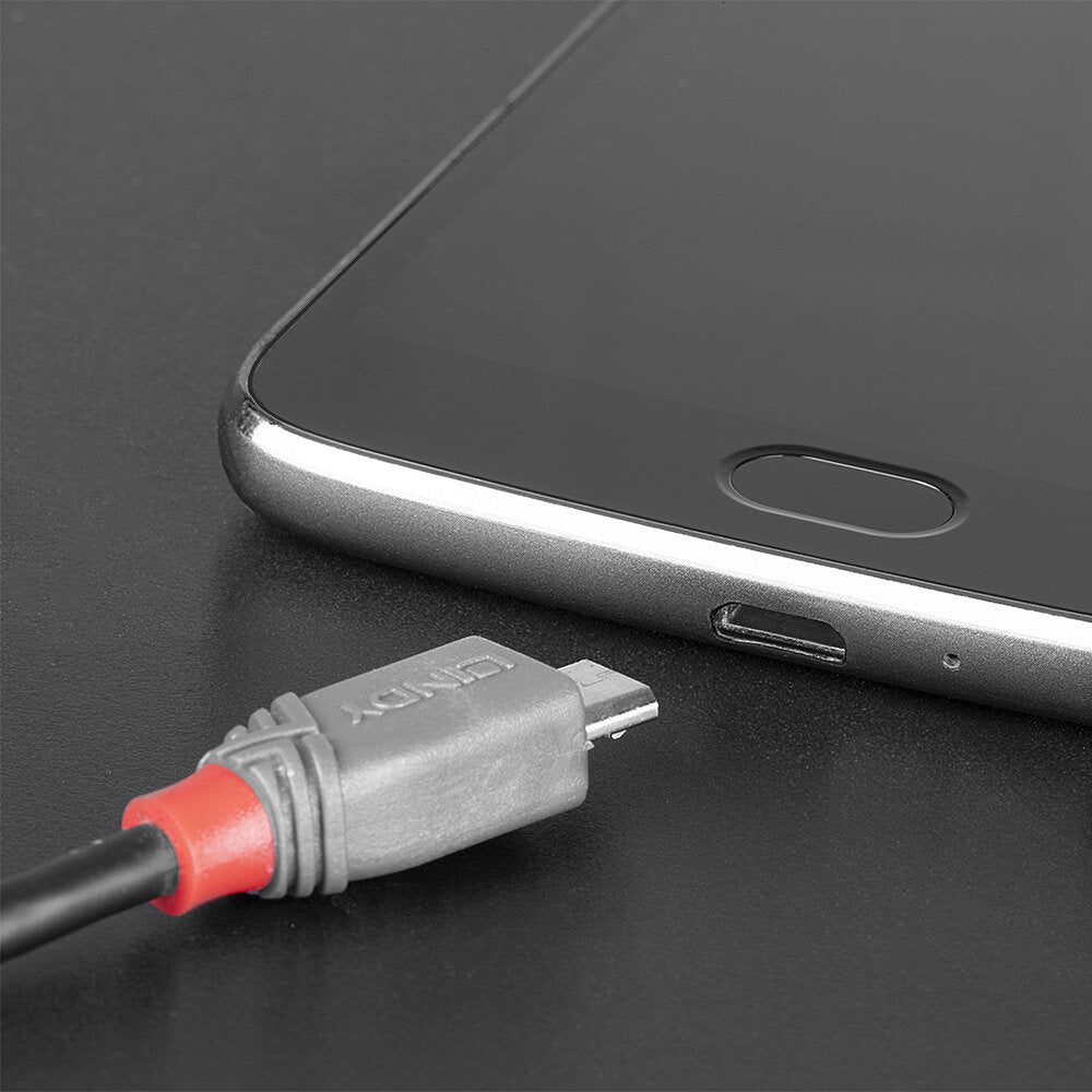 Lindy USB-Kabel, USB-C zu Micro-USB, 1,5 m, USB 2.0
