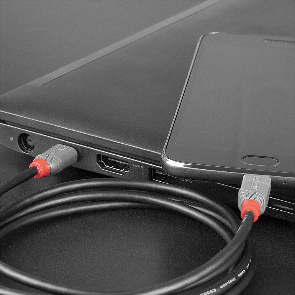 Lindy USB-Kabel, USB-C zu Micro-USB, 3 m, USB 2.0