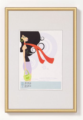 Walther Design Wechselrahmen New Lifestyle, Kunststoff, Gold, 50 × 70 cm, mit 2 Jumbo-Aufhängern – eco:plus