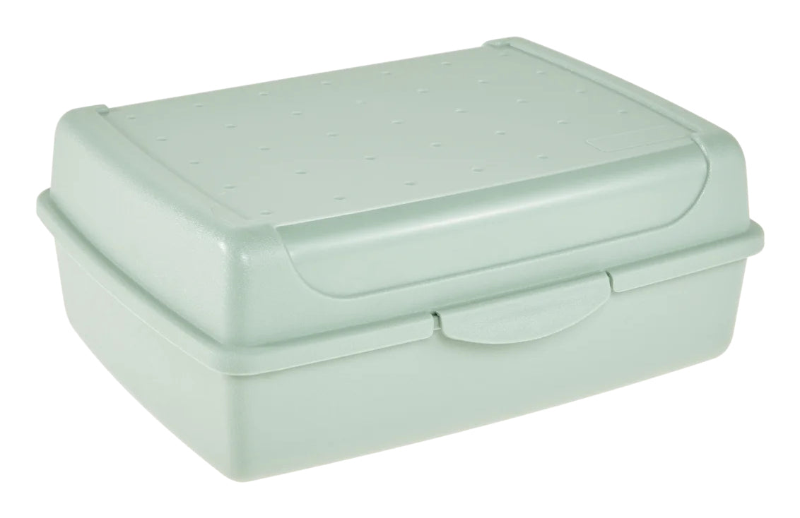 keeeper Click-Box midi Aufbewahrungsbox 1 l – Polypropylen (PP) – transparent/grün – 130 × 70 × 170 mm