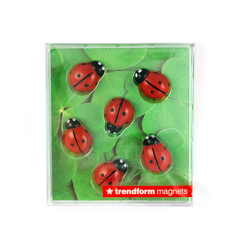 Trendform Tafelmagnete – Ø 17 mm – 6 Stk. – rot