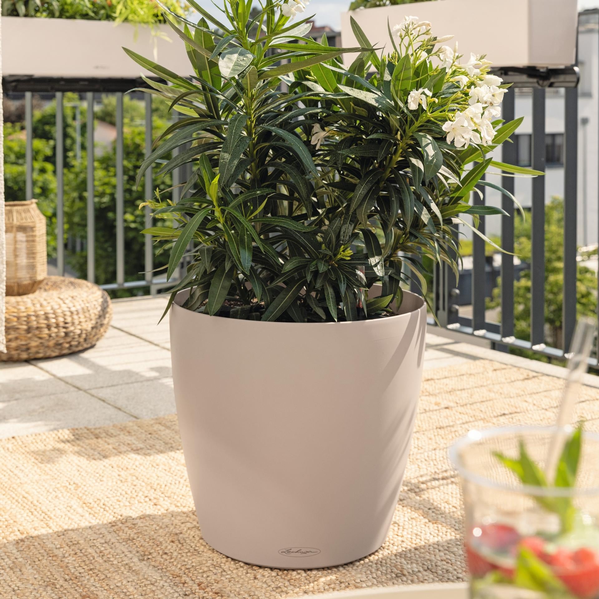 LECHUZA Topfpflanzer – Ø 42 × 39,5 cm, 33 l – Kunststoff, dunkelgrau