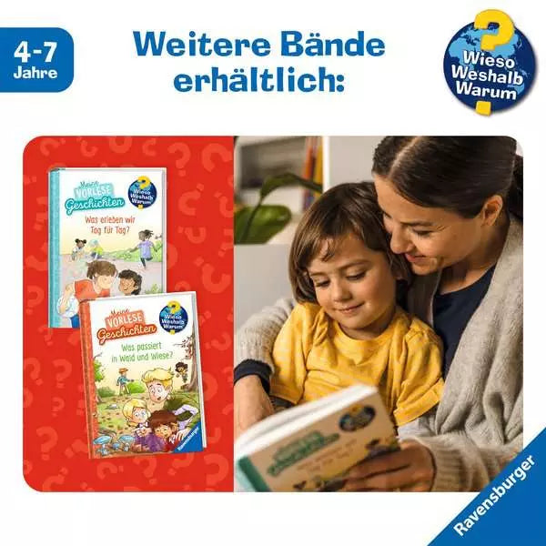 Ravensburger Buch – WWW: Was passiert im Wald und auf der Wiese?, Hardcover, 144 Seiten, Deutsch, ab 4 Jahren