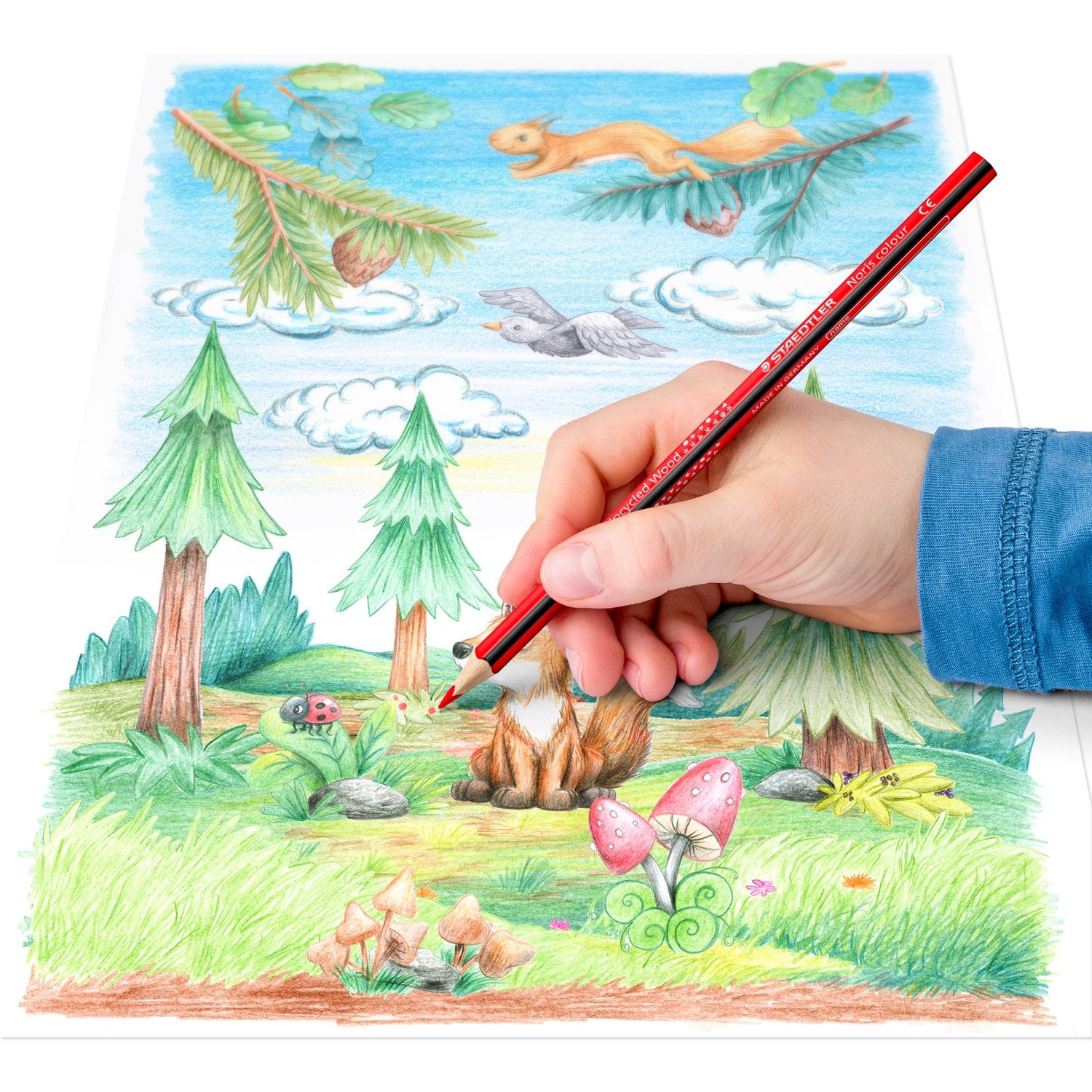 STAEDTLER Noris colour Farbstifte – 12 Stk., ergonomisch, Karton