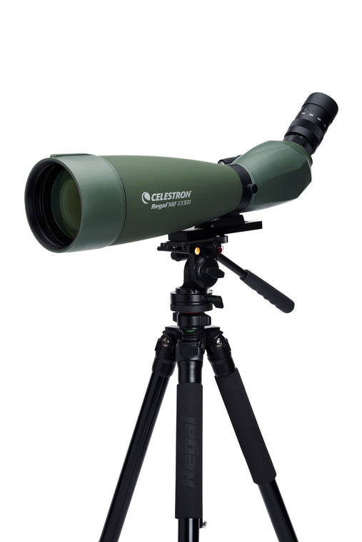 Celestron Regal M2 100ED – 22–67×, 100 mm Objektiv, BaK-4, wasserfest, grün