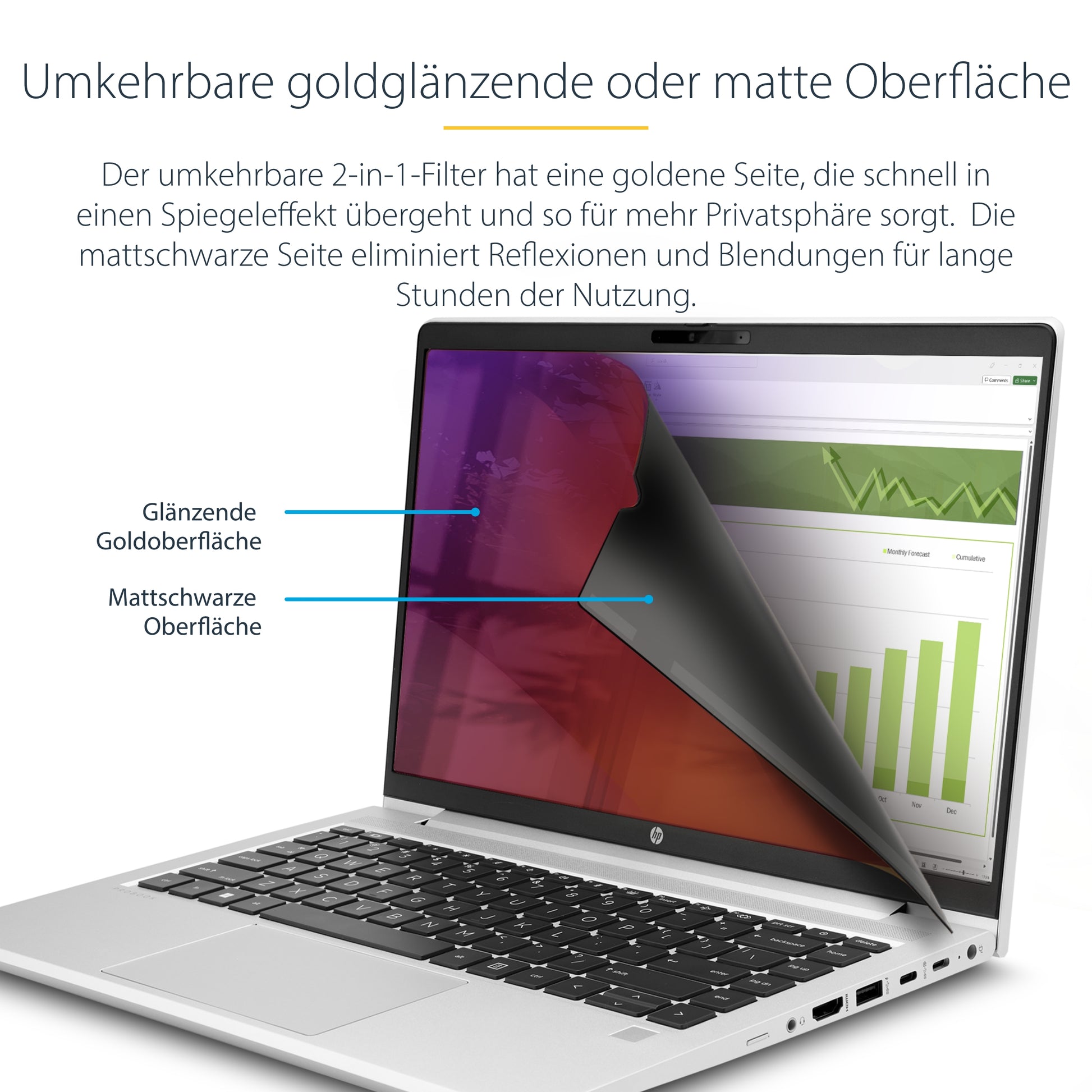 StarTech.com Displayschutz für 14" Laptop – Gold