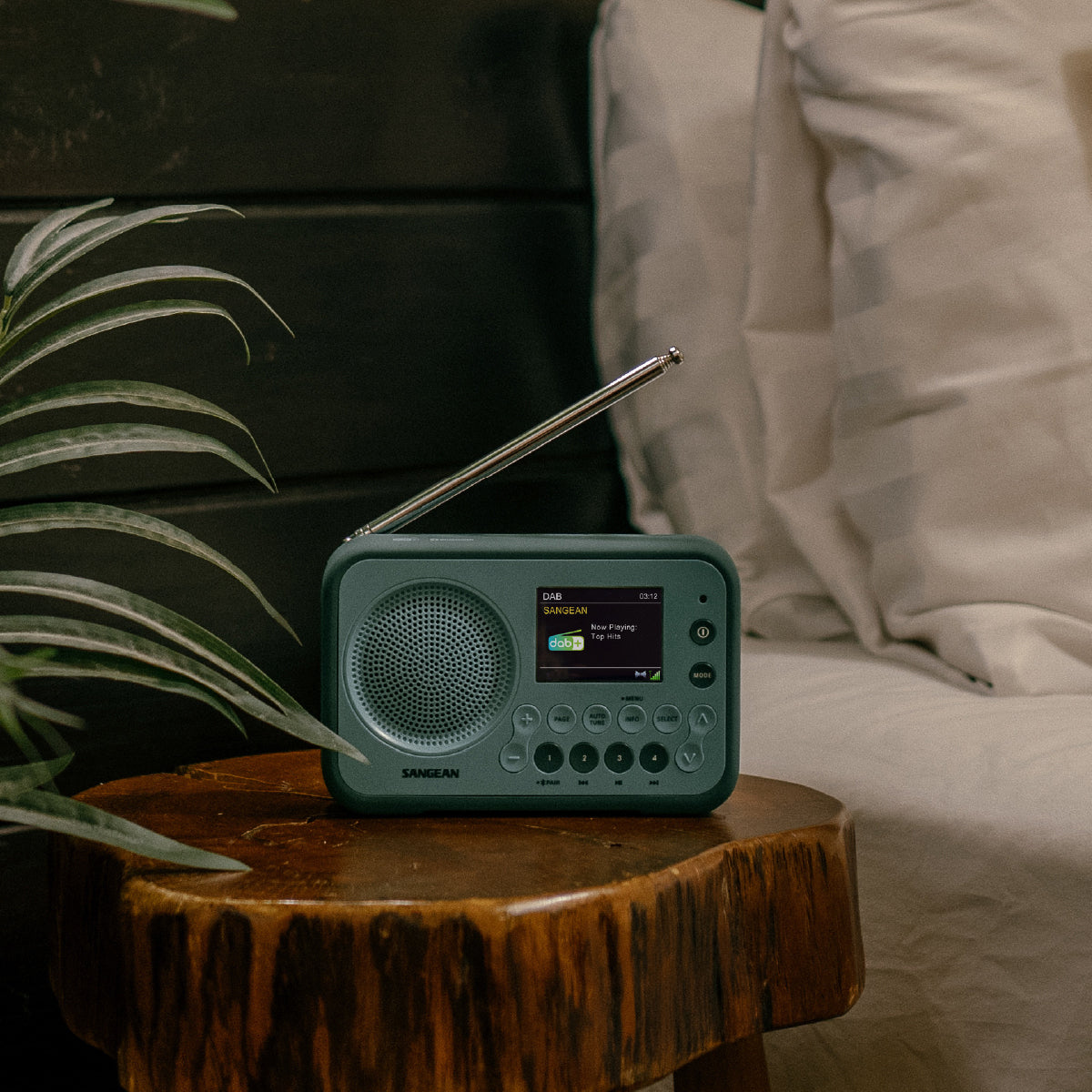 Sangean DPR-76 BT – DAB+/UKW-Tischradio, Bluetooth – Grün