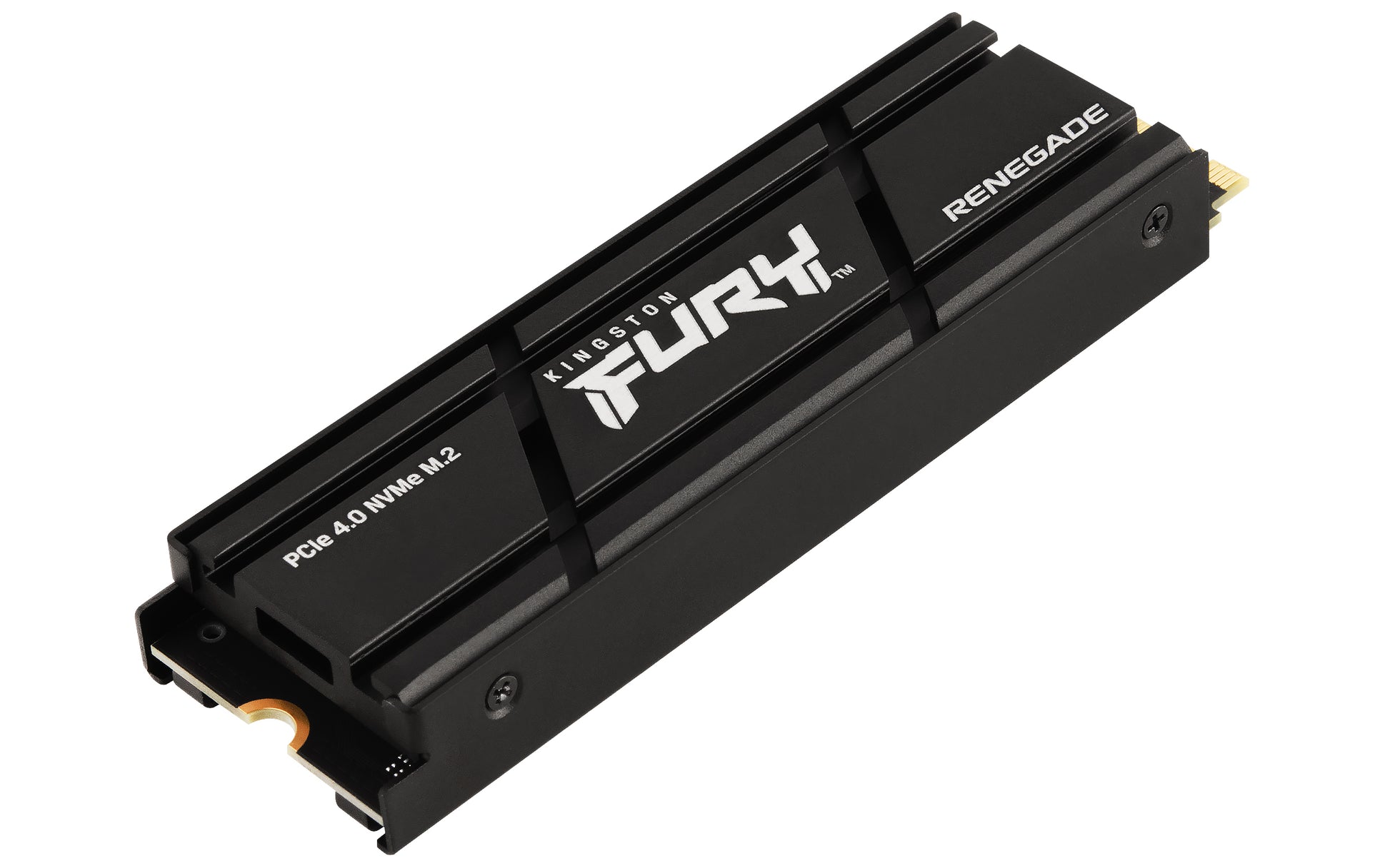Kingston Technology Kingston FURY Renegade 2 TB – M.2 SSD, NVMe PCIe 4.0