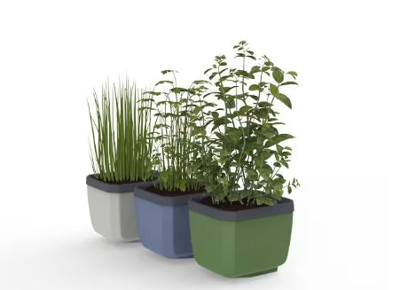 Gusta Garden Kräutertopf – 3-teilig – 10500 ml – Polypropylen, mehrfarbig