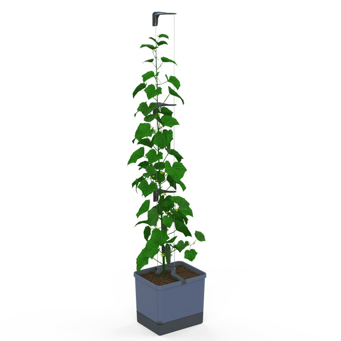 Gusta Garden Pflanzgefäss – 33,5 × 28,7 × 25,6 cm – Polypropylen, Blau
