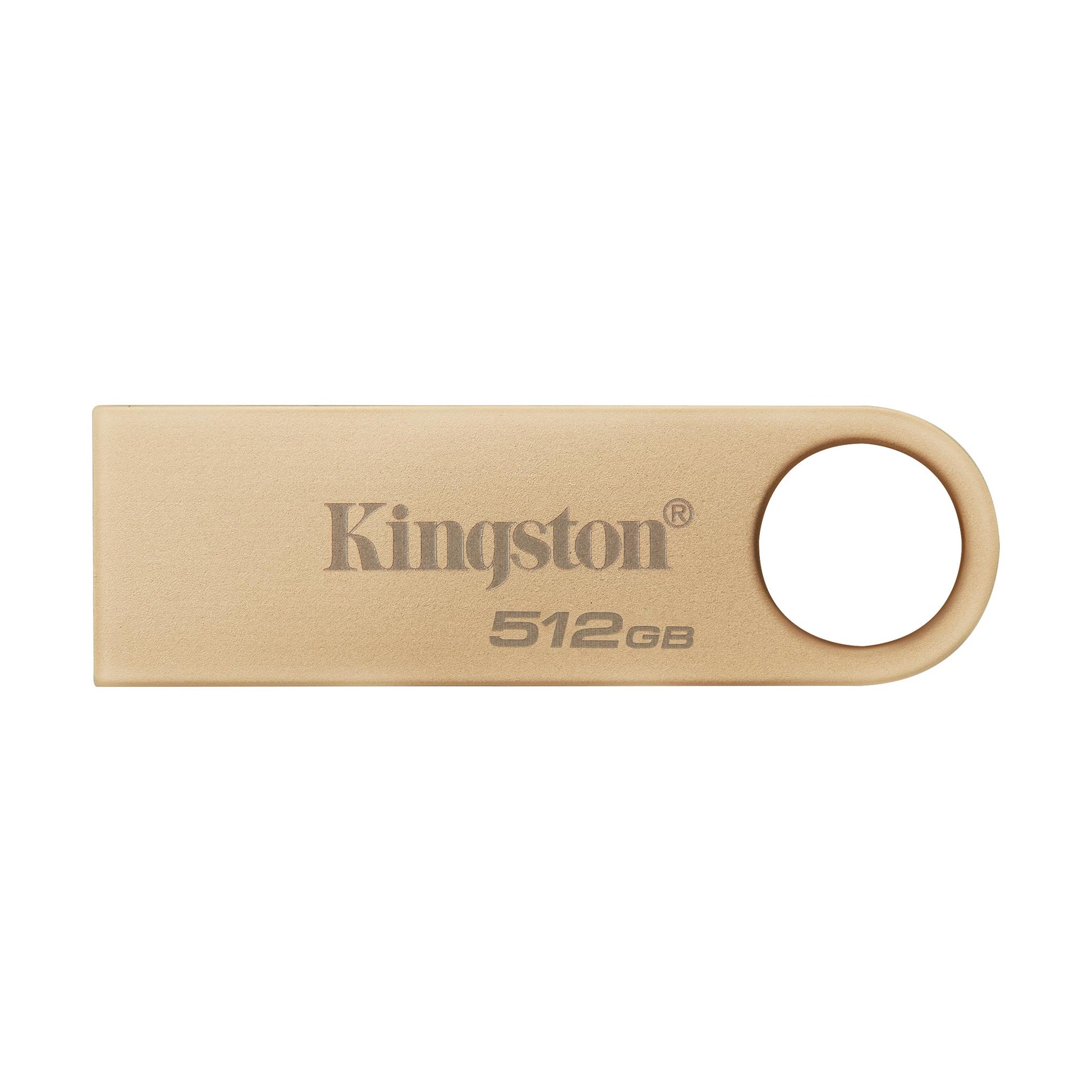 Kingston Technology Kingston DT SE9 G3 USB-Stick – 512 GB, USB 3.2 Gen 1, 220 MB/s