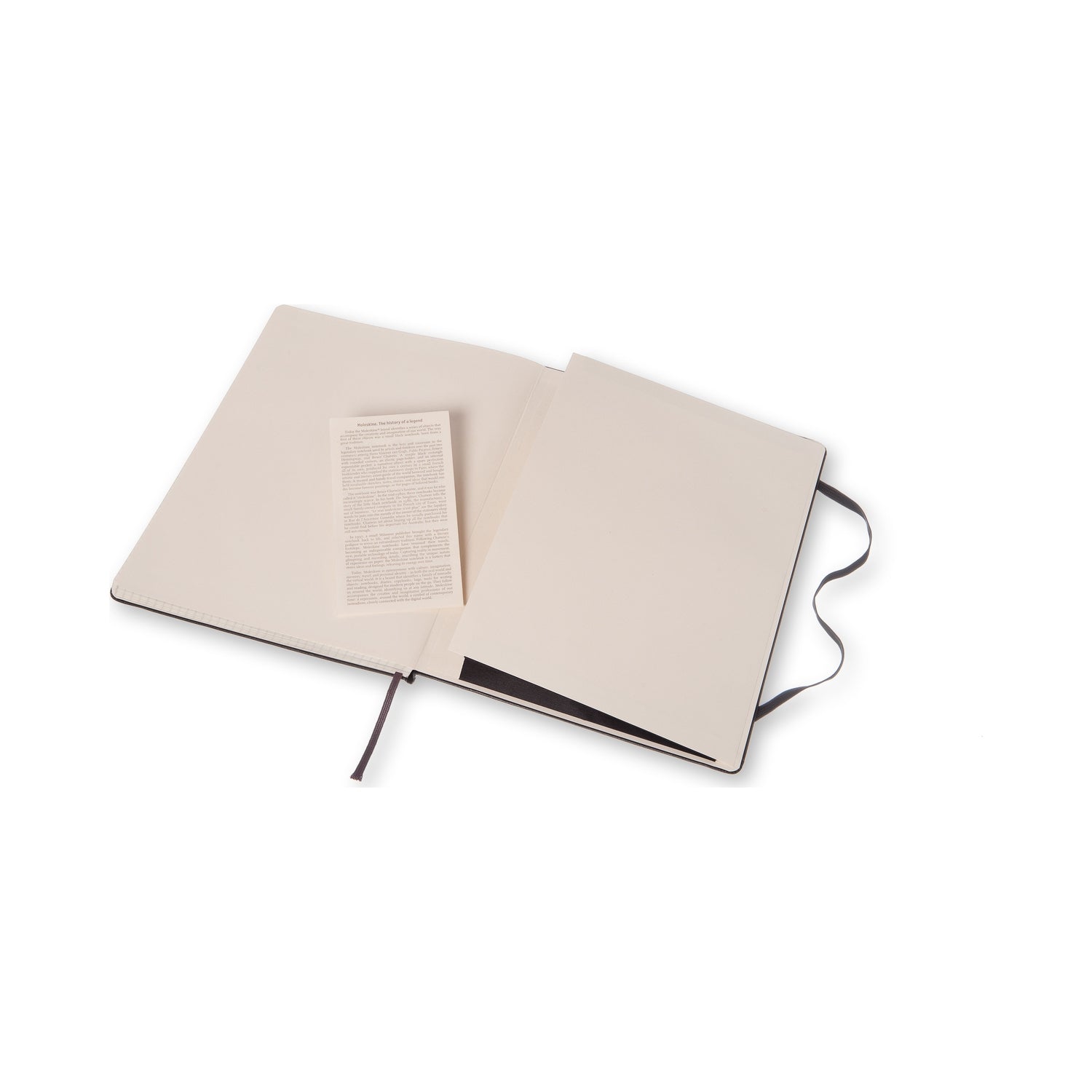 Moleskine Notizbuch – 190 × 250 mm – kariert – 70 g/m² – Hardcover, Gummiband, Tasche, schwarz, FSC