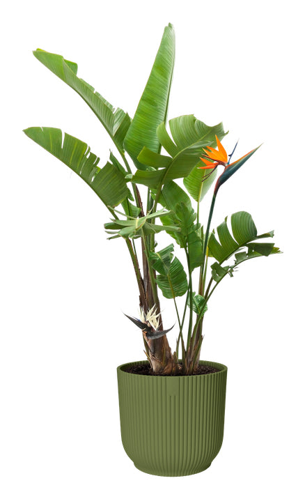 elho Vibes Fold Blumentopf – Ø 30 × 27 cm, 15 l – Kunststoff, Grün