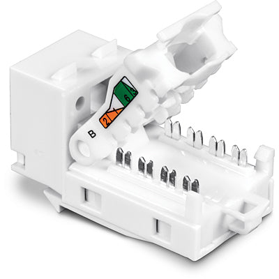 TRENDnet TC-K50C6 – Keystone-Buchsen Cat6, werkzeuglos, 50×, abgewinkelt, RJ-45, 10GBase-T, Weiss, für TC-KP24