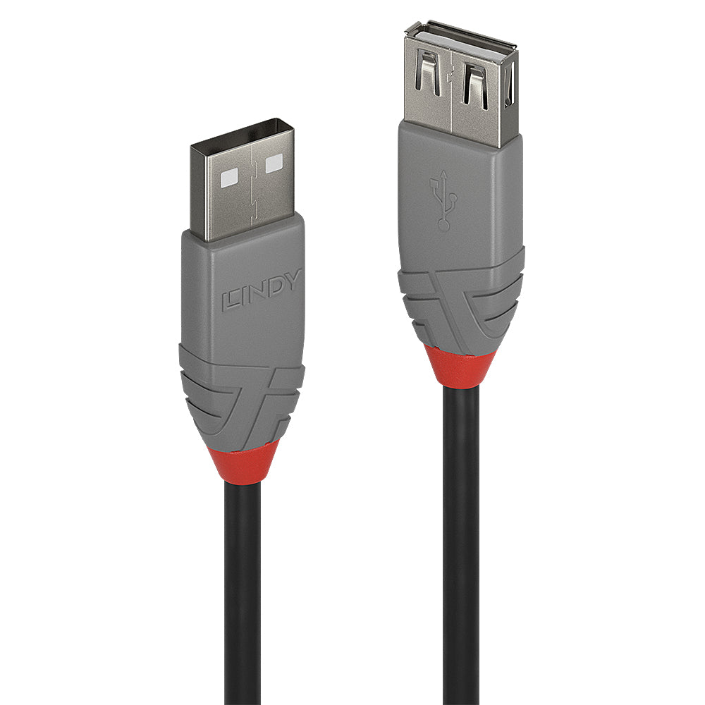 Lindy USB-Kabel, USB-A zu USB-A, 0,2 m, USB 2.0