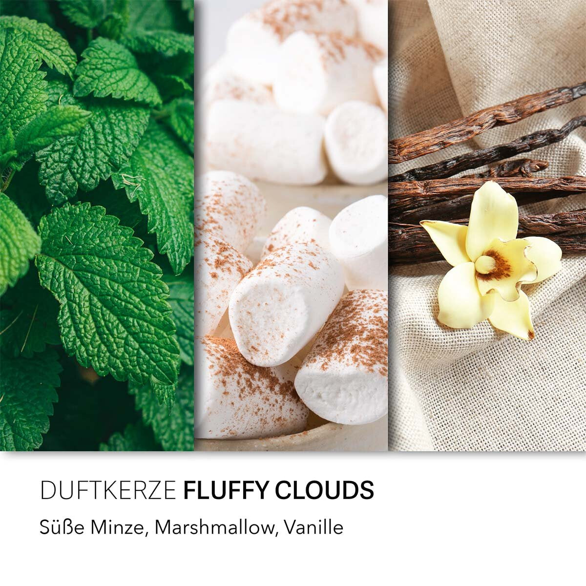 Balthasar Duftkerze – Fluffy Clouds – Ø 6 × 9 cm – 20 h