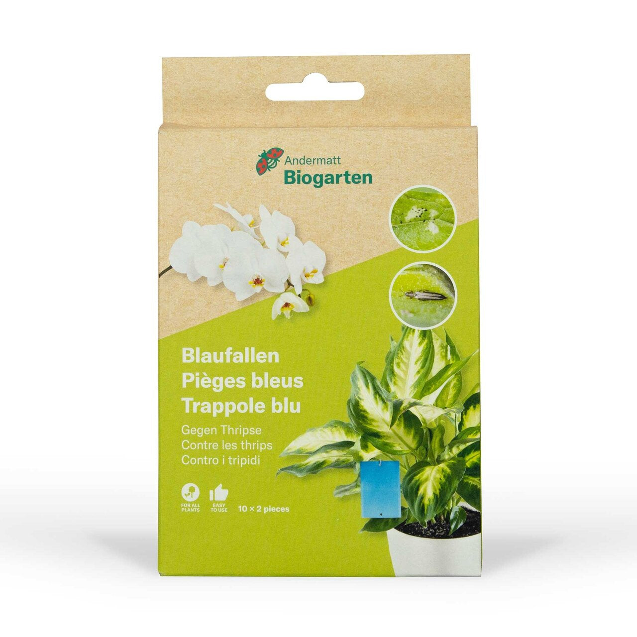 Andermatt Biogarten Insektenfalle – 1,3 × 0,9 cm – Blau – Fliegenpapier – Für Fluginsekten – 10 Stk.