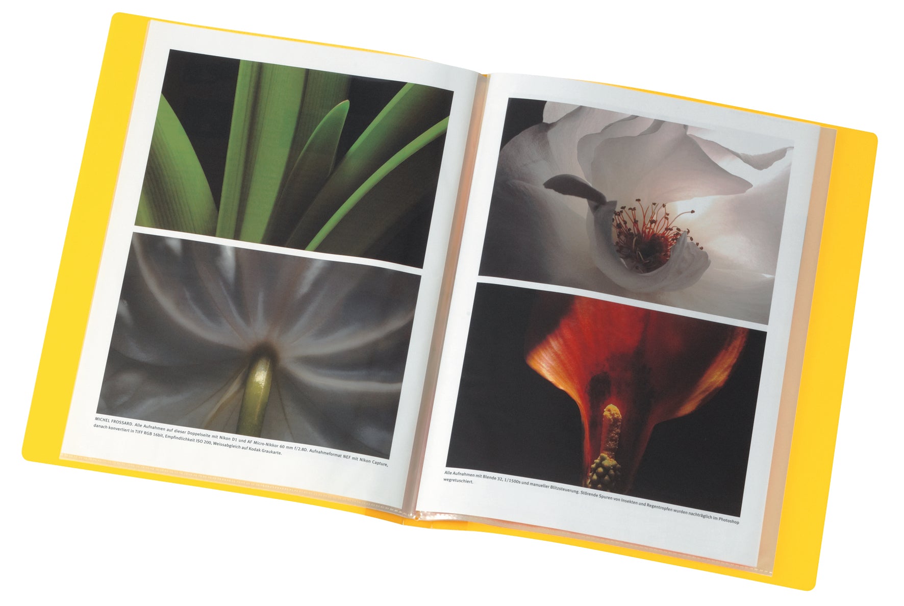 Kolma Sichtbuch – 20 Sichttaschen, A4, glatt, glänzend, gelb, Kunststoff