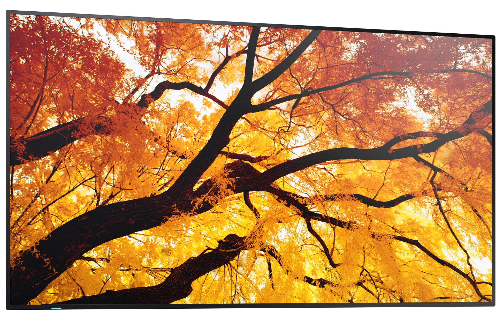 Sharp MultiSync M552 – 55" Signage-Display – 4K UHD – LCD (IPS) – Touch – 60 Hz – 550 cd/m² – 24/7