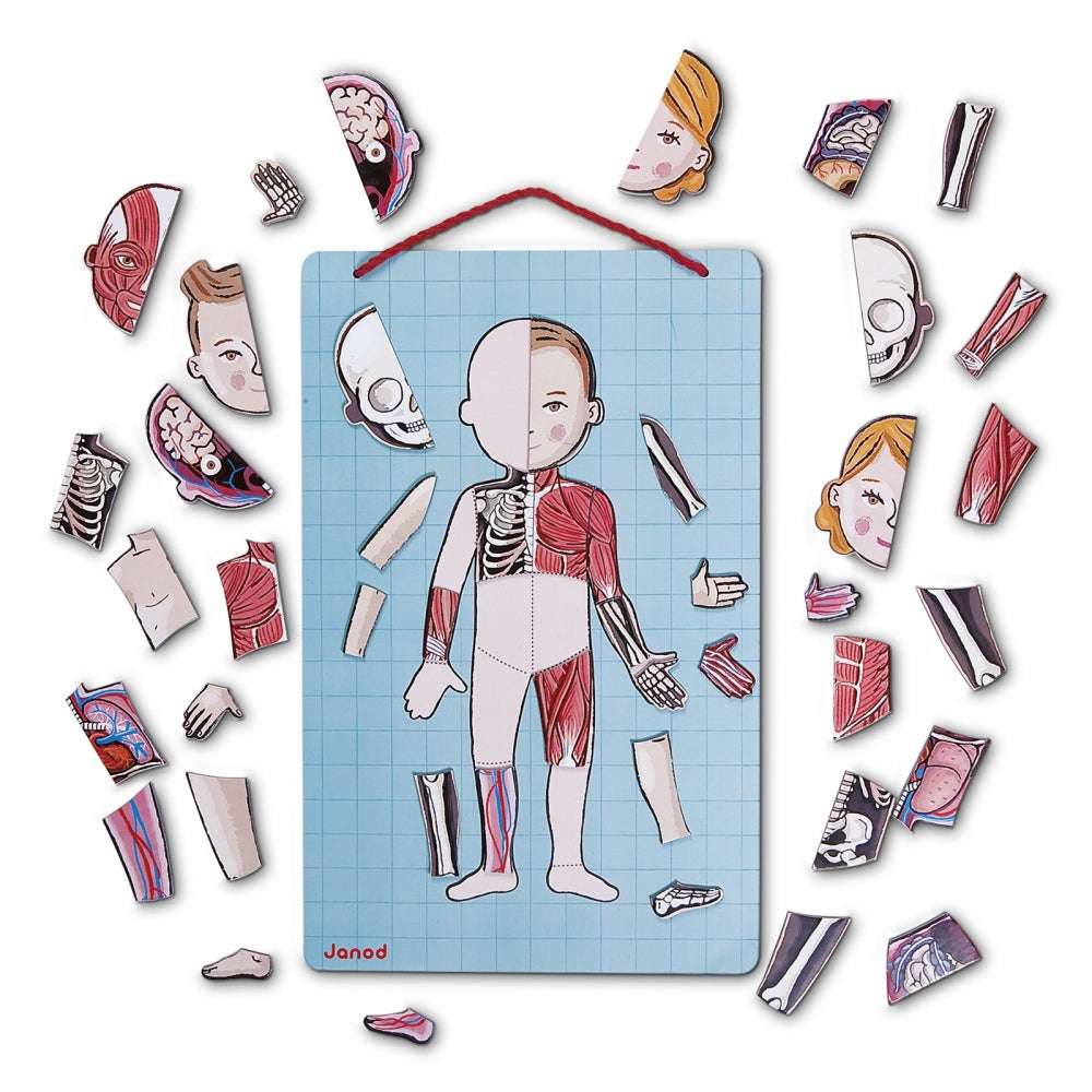 JANOD Magnet-Set – Körper, 99 Teile, 7–12 Jahre