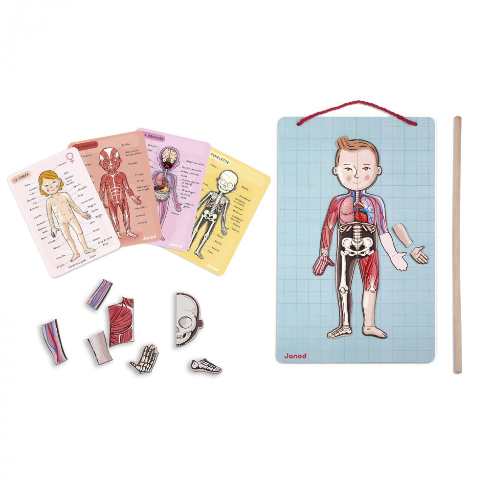 JANOD Magnet-Set – Körper, 99 Teile, 7–12 Jahre