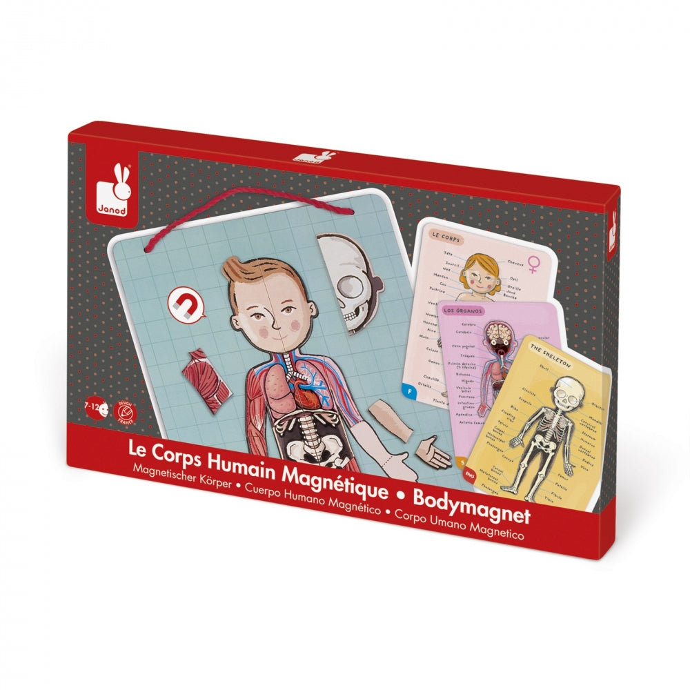 JANOD Magnet-Set – Körper, 99 Teile, 7–12 Jahre