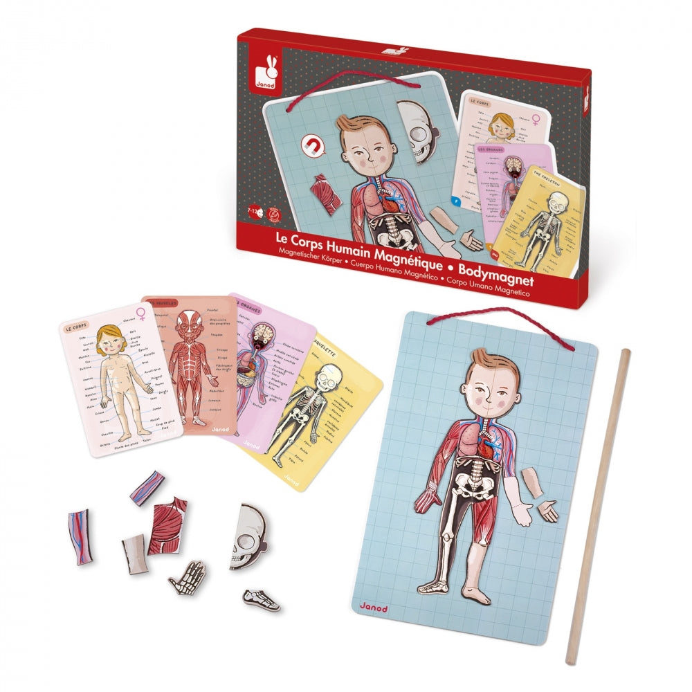 JANOD Magnet-Set – Körper, 99 Teile, 7–12 Jahre